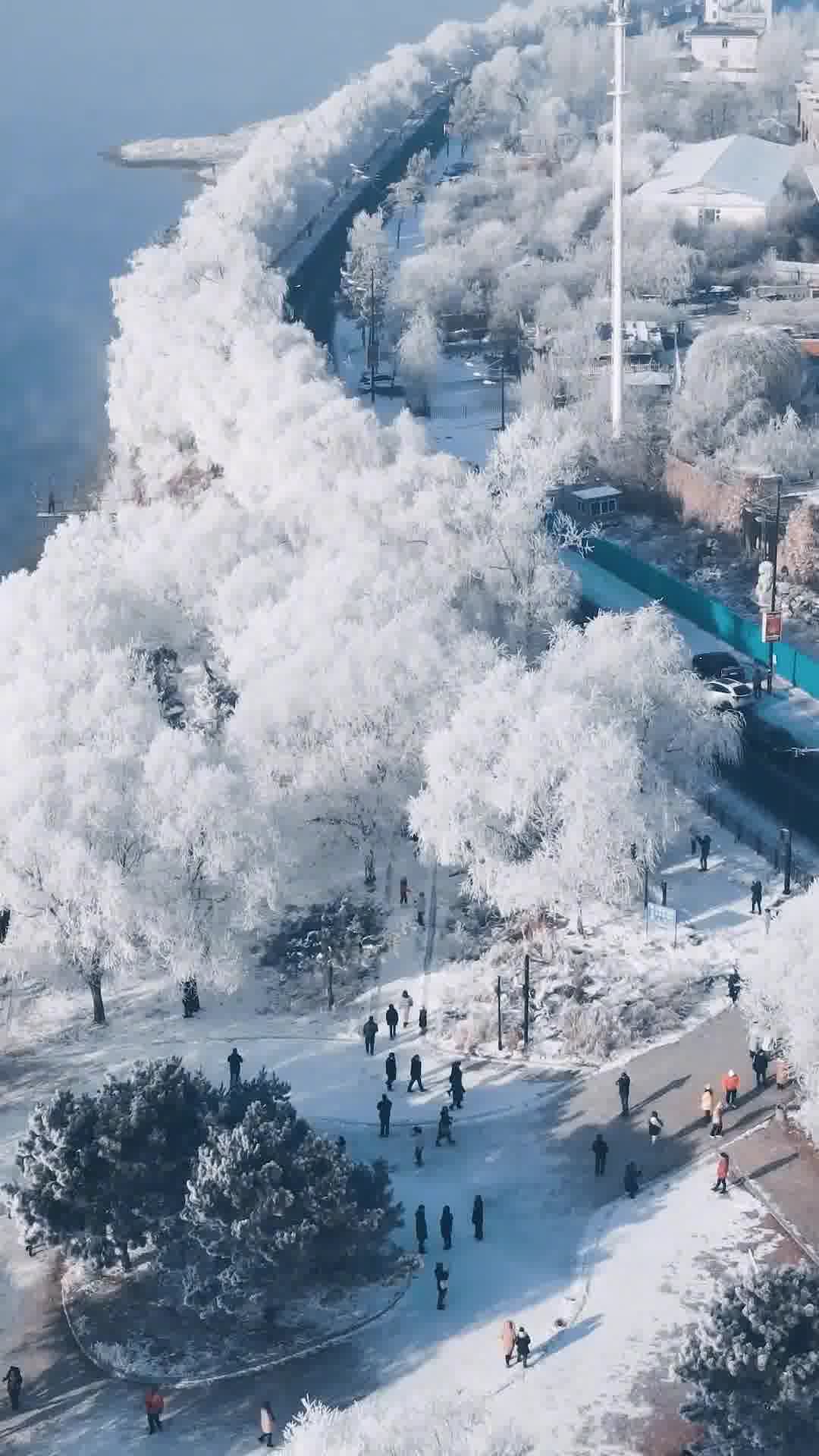 东北明珠,吉林的历史长河之旅