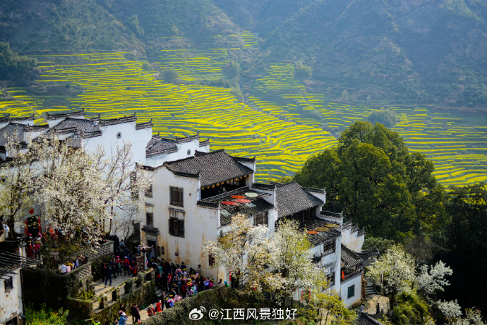 江西暖阳下的意外陪伴之旅