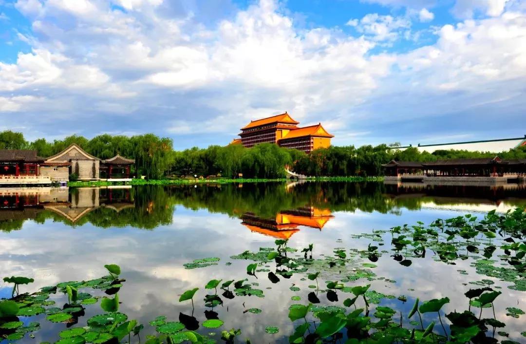 廊坊夜话,独舞光影下的热茶沉思